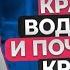 ПОЧЕМУ КРАСНЫЕ ВОДОРОСЛИ КРАСНЫЕ И КАКОЙ ОНИ ПОБИЛИ РЕКОРД