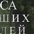 Голоса погибших кораблей Документальный фильм 2022