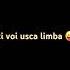 Îți Voi Usca Limba Partea 69 Popular Memes Funny Foryou Subscribe Like