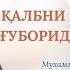 1 Қалбларни нуқсонлар ғуборидан поклаш Абу Салоҳ ҳафизаҳуллоҳ