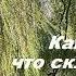 Как ива что склоняется над тихою водой