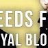 Royal Blood Who Needs Friends Official Karaoke Instrumental SongJam