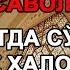 Савол Аппаратда сўйилган товуқ ҳалолми