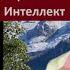 На ежегодном послании Путина с народом будет общаться ИИ 5795