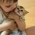 Залюбила Family Cat Kitten Trend Animals Catlover