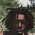 Peter Tosh Wanted Dread Alive Enhanced With Lyrics