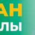 Негатив жаман ой жайлы Құран ол жайлы не дейді Рауан Жұмабайұлы