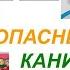 Инструктаж Безопасные весенние каникулы Знай и соблюдай ПДД