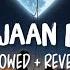 Vaaste Slowed Reverb Song Lyrics Dhvani Bhanushali Nikhil D Souza