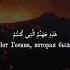 Ясин Йа син сура 36 аят 59 64 чтец Мухаммад аль Люхайдан