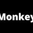 Monkey