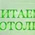 Читаем Добротолюбие Сокрушение сердечное Священник Константин Корепанов