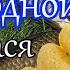 ЛОВИ ПО ХОЛОДНОЙ ВОДЕ Насадка для Крупного Карася Леща Супер Рыболовная Насадка на карася