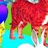 Paint Animals Cow Gorrila Elephant Sheep Deer Tiger Fountain Crossing Transformation Cartoon