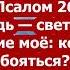 Псалом 26 Господь свет мой и спасение моё кого мне бояться