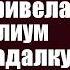 Врачи смеялись над поломойкой которая привела на консилиум по богачу гадалку Но едва цыганка