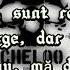 Cheloo Feat Margineanu O Zi Ca Oricare Alta Lyrics