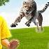 Educational Video For Kids Big Wild Cats Adventure By Atrin And Soren ZOO Animals For Kids