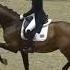 Dressage Disaster Annabella Pidgley Trains With Helgstrand Fiyr Lovsta Future Challenge