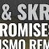 Nero Vs Skrillex Promises Prismo Remix