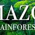 Amazon 4k The World S Largest Tropical Rainforest Relaxation Film With Calming Music