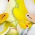 SONIC 3 PLUSH FULL MOVIE Sonic And Friends