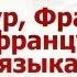 Французский язык для путешественников Урок 1 Приветствие Знакомство Паспортный контроль