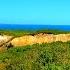 Martha S Vineyard Retreat Acoustic Guitar Nature Sounds For Relaxation