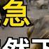 形勢危急 北京身處革命前夜 重磅消息 中共已經下令 以色列再有驚世之舉 習近平趁機 宰 了普京一刀 中國經濟低迷催生 職業閉店人 萬維讀報 0928 1 FJCC