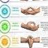 Chakra Mudras Mantras CozyCycles