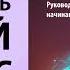 Стартап Руководство для начинающих Владимир Ильин Аудиокнига