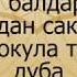 Жаш балдардын оорудан сактыгы үчүн окула турган дуба