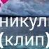 Песня клип Каникулы завтра я на всё забью на учёбу не пойду чит опис