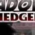 Shadow The Hedgehog Battle Menu