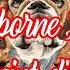 Fliegende Hunde Airborne Dogs Rot Scheint Die Sonne English Translation