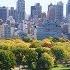 New York City S Green Revolution