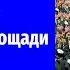 Парад Победы в Москве 9 мая 2024 года прямая трансляция