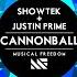 Cannonball Vs Numb Hardwell Mashup Showtek Justin Prime Vs Linkin Park