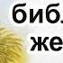 Портрет библейской женщины Шперлинг Алексей Проповедь МСЦ ЕХБ