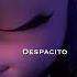 Despacito Ladybug X Chat Noir