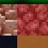 I Collected Every Block In Minecraft Hardcore