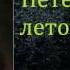 Фёдор Михайлович Достоевский Петербургская летопись аудиокнига