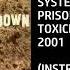 System Of A Down Prison Song Custom Instrumental