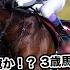 ジャパンC2024 予想 今年も人気か 伏兵か 本命から穴馬を大公開