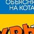 Чей Крым Объясняю на котах Коты Ходорковского