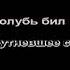 А Розенбаум Я увидел во дворе стрекозу караоке