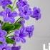 DIY Lily Of The Valley How To Make Beautiful Lily Of The Valley Pipe Cleaner Flowers Easy