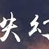 IN K 王忻辰 迷失幻境 DJ版 没来得及说抱歉 你已经不在身边 動態歌詞 Pīn Yīn Gē Cí