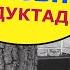 92 жаштагы АПАСЫ менен 52 жаштагы ӨЗ баласы жатканын КӨРДҮМ Күйөм ЗӨӨКҮР болчу дейт 32деги келин