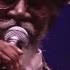 BUNNY WAILER The Solomonic Orchestra Live Main Stage 2015